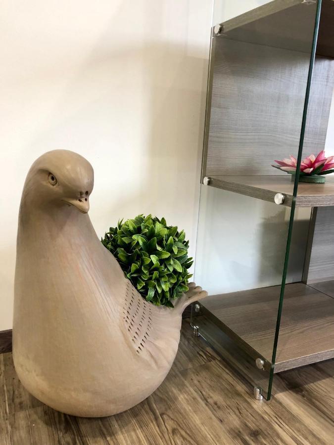 サン・ミゲル・デ・アジェンデCasa Quadraアパートメント 部屋 写真